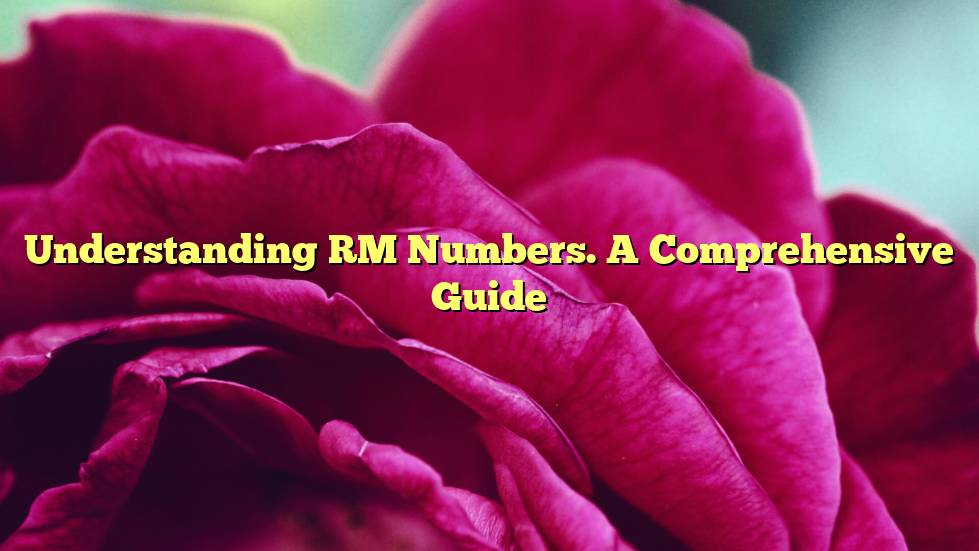 Understanding RM Numbers. A Comprehensive Guide