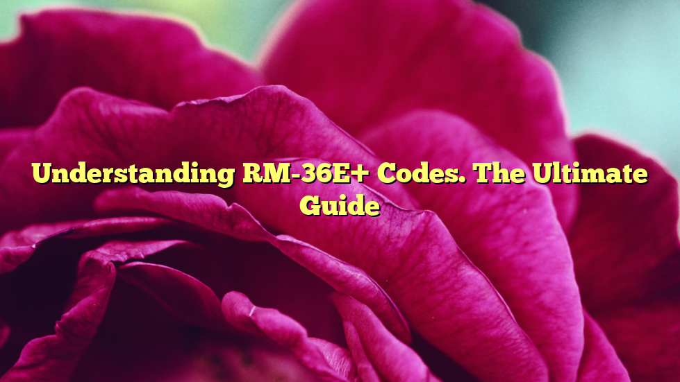 Understanding RM-36E+ Codes. The Ultimate Guide